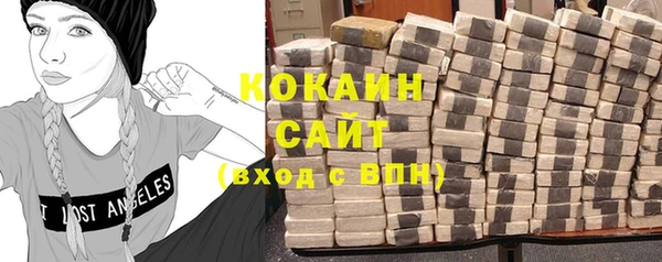 тгк Новозыбков
