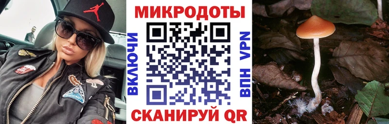 Псилоцибиновые грибы ЛСД Кропоткин