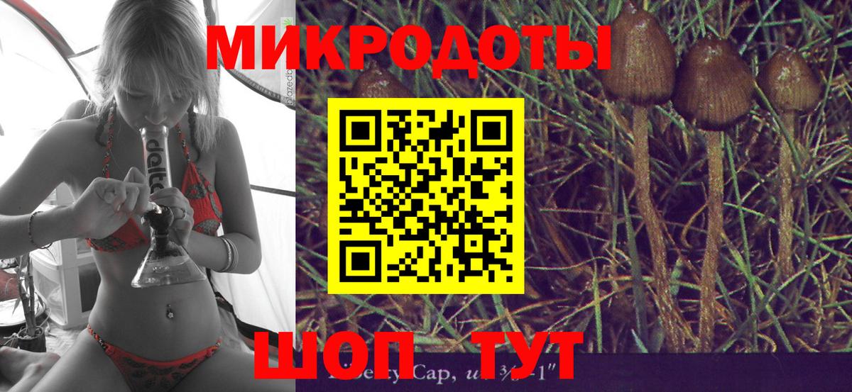 Галлюциногенные грибы мухоморы  Кропоткин 