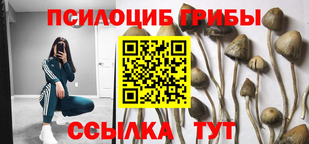 Галлюциногенные грибы прущие грибы Кропоткин